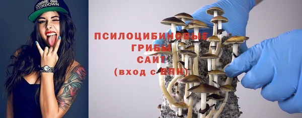 крисы Новодвинск