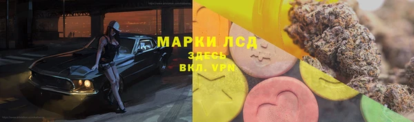 крисы Новодвинск