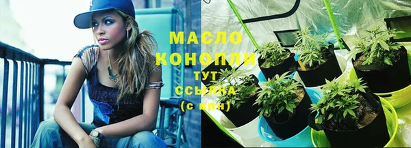 крисы Новодвинск