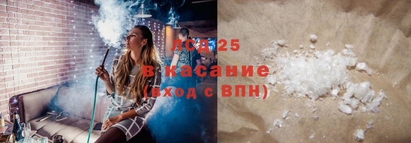 крисы Новодвинск