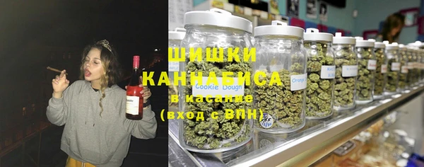 крисы Новодвинск