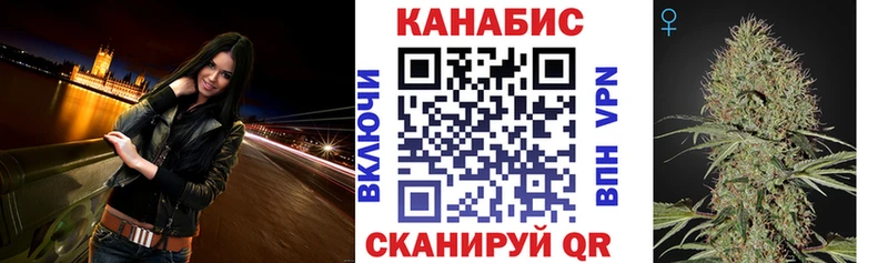 Бошки Шишки планчик  закладка  Мамоново 